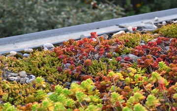 the cost of Charlcutt green roof installation