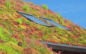 Charlcutt living roof systems